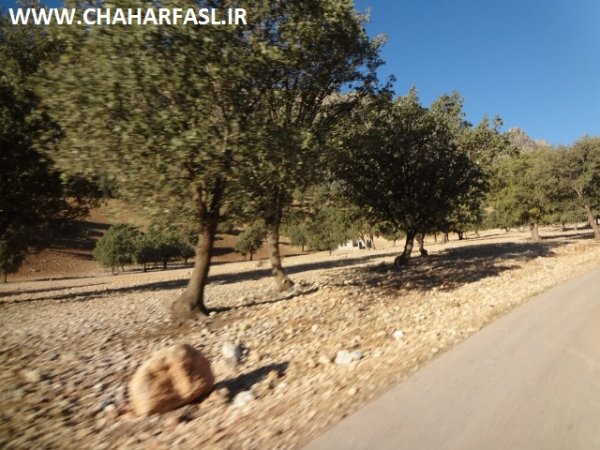 درخواست مردم محروم زیلایی از مسئولان استان کهگیلویه وبویراحمد