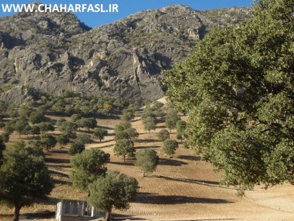 درخواست مردم محروم زیلایی از مسئولان استان کهگیلویه وبویراحمد