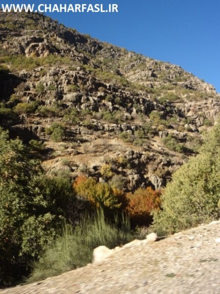 تصاویری از سفر  چهارفصل به روستای محروم موشمی زیلایی