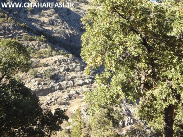 تصاویری از سفر  چهارفصل به روستای محروم موشمی زیلایی