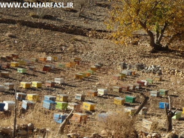 تصاویری از سفر  چهارفصل به روستای محروم موشمی زیلایی