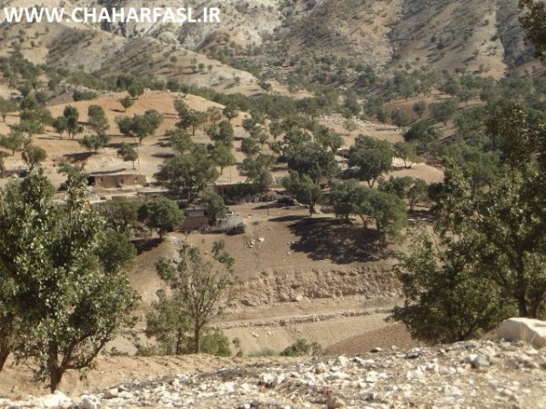 درخواست مردم محروم زیلایی از مسئولان استان کهگیلویه وبویراحمد