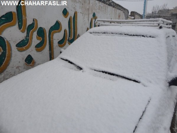 ورزشگاه تختی شهر یاسوج سپید پوش شد