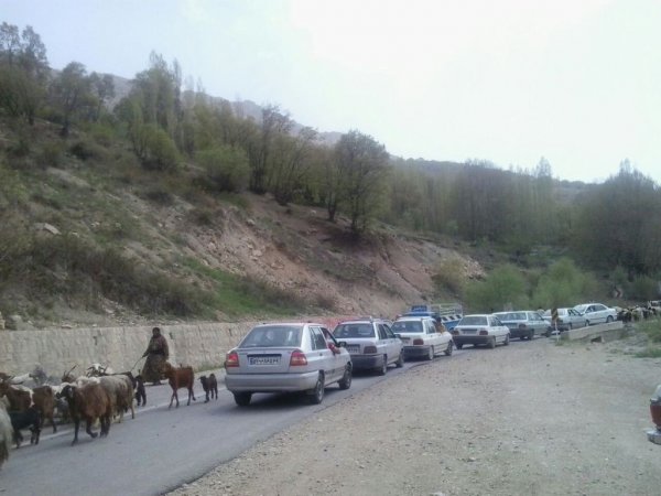 کوچ زودهنگام عشایر در کهگیلویه وبویراحمد,چهارفصل