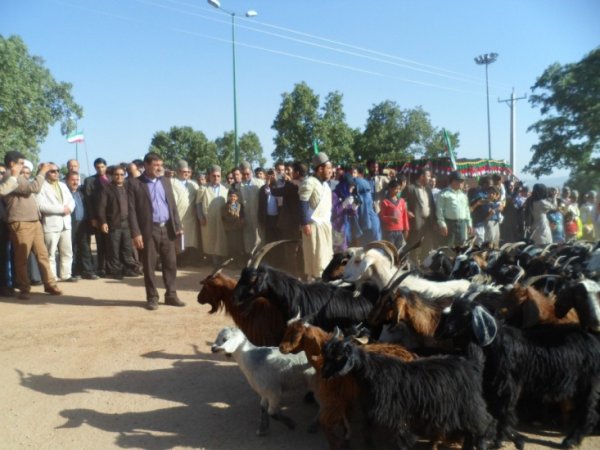 جشنواره عشاير ياسوج،chaharfasl.ir