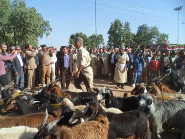 جشنواره عشاير ياسوج،chaharfasl.ir