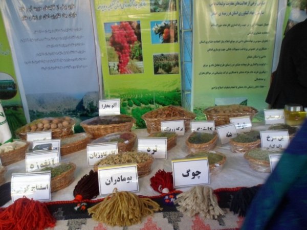 جشنواره عشاير ياسوج،chaharfasl.ir