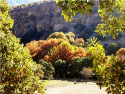 پاییز تنگ گنجه ای شهر ستان بویراحمد