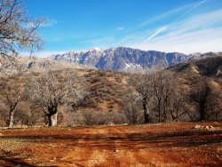 تصاویری جالب از پارک جنگلی یاسوج 
