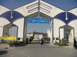 سامان کرم نيا,‌بزدل,‌ مطالبه گري دانشجويي, موسيقي