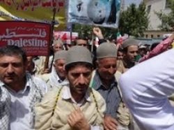 علی ستوده نیا