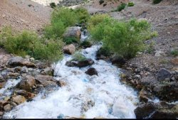 سي سخت،chaharfasl.ir