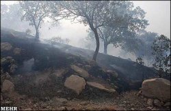 آتش جنگلهای دنا را داغدار کرد/ خطوط برق عامل آتش سوزی