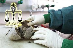 پزشکی قانونی گچساران پزشک ندارد/ رنج پنج شهرستان ازنبود پزشکی قانونی