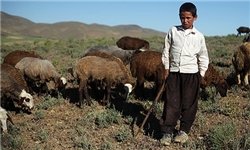 حواشی بازدید مسئولان کهگیلویه و بویراحمد از مناطق عشایر زیلایی بویراحمد