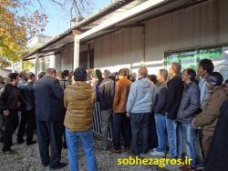 این مردم برای چه صف کشیده اند؟+تصاویر