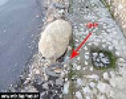 خرابکاری ادارات در روستای چاه تلخ باشت +تصاویر