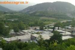 سنگی که بنای ساخت یک روستا شد/درخت بنه یادبود نگهبانان محافظ