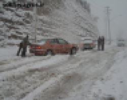 بفرمایید هل+تصاویر