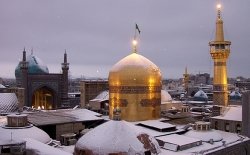 بصیرت و سازش ناپذيرى در کلام امام رضا/ حضرت رضا(ع) چگونه زندگی می کرد/ کتابشناسی ضامن آهو + روضه‌خوانی حاج منصور، کریمی، میرداماد، کریمخانی و ... 