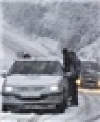 مرگ یک سرفاریابی بر اثر سرما