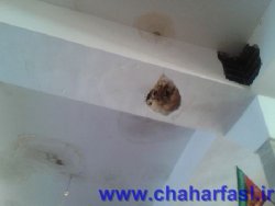 گلزار شهداي شهر ياسوج در وضعيت نامناسبي به سر مي برد +تصاوير گلزار شهداي شهر ياسوج در وضعيت نامناسبي به سر مي برد +تصاوير