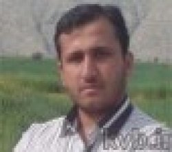 ملخ ها و کلاغها…