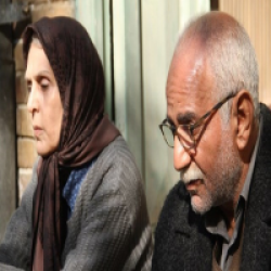 استقبالی امیدوارکننده و سردی توأمان سالن و فیلم ها