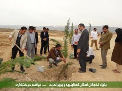  درخت کاری نخبگان کهگیلویه و بویراحمد+تصاویر