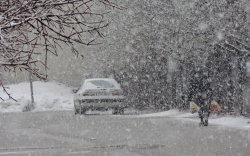 بارش برف در یاسوج آغاز شد