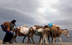 کوره راههای عشایر دریلا با هر بارشی قطع می شوند+تصاویر