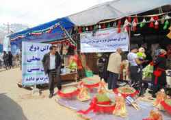 استقبال از میهمانان نوروزی درشهر سی سخت+ تصاویر 