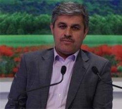 تاجگردون: شعار امسال می تواند تحولات مثبتی در اقتصاد کشور ایجاد کند