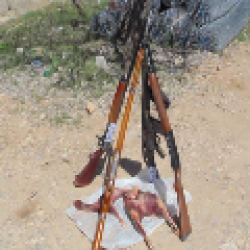 دستگیری دومین گروه از شکارچیان متخلف در دنا+تصاویر