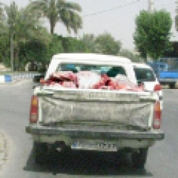 روش عجیب و غیر بهداشتی حمل گوشت در شهرستان لنده 