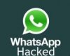 واتس آپ سارق محبوب اطلاعات