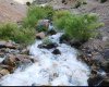 سي سخت،chaharfasl.ir