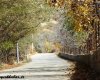 تصاویر زیبای خزان در آبشار یاسوج