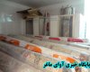 وقتی نمایشگاه فرش یک اداره استان در سرویس بهداشتی برگزار می شود