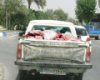 روش عجیب و غیر بهداشتی حمل گوشت در شهرستان لنده 